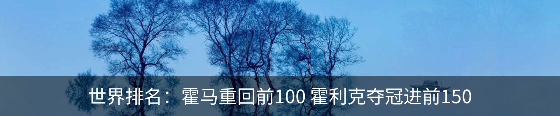 新闻动态