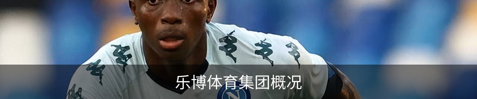 乐博体育集团概况