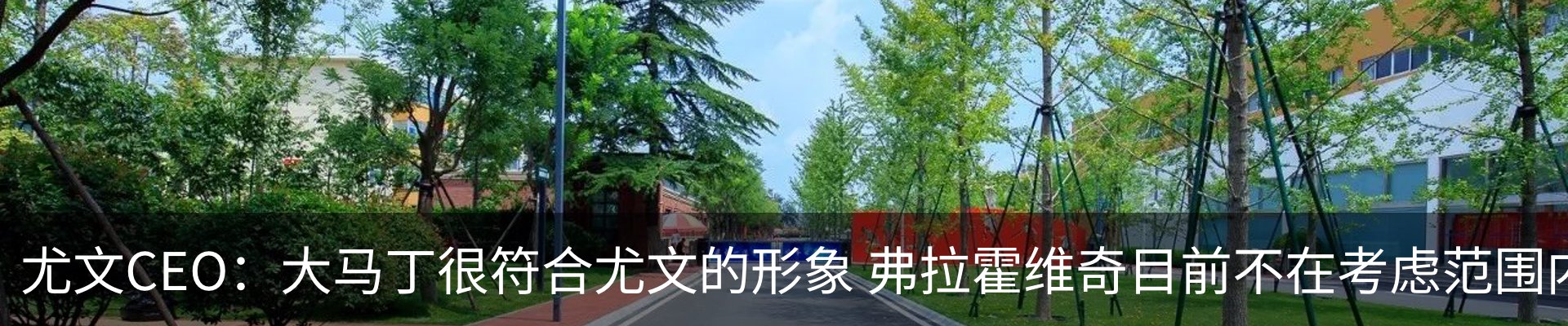 新闻动态