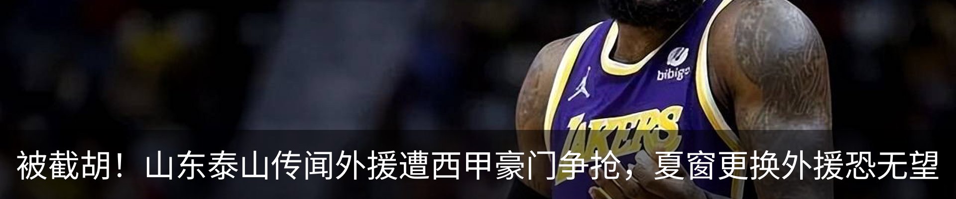 新闻动态