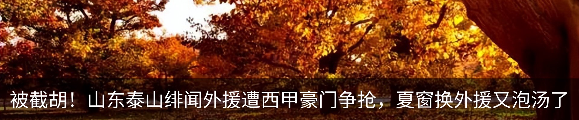 新闻动态
